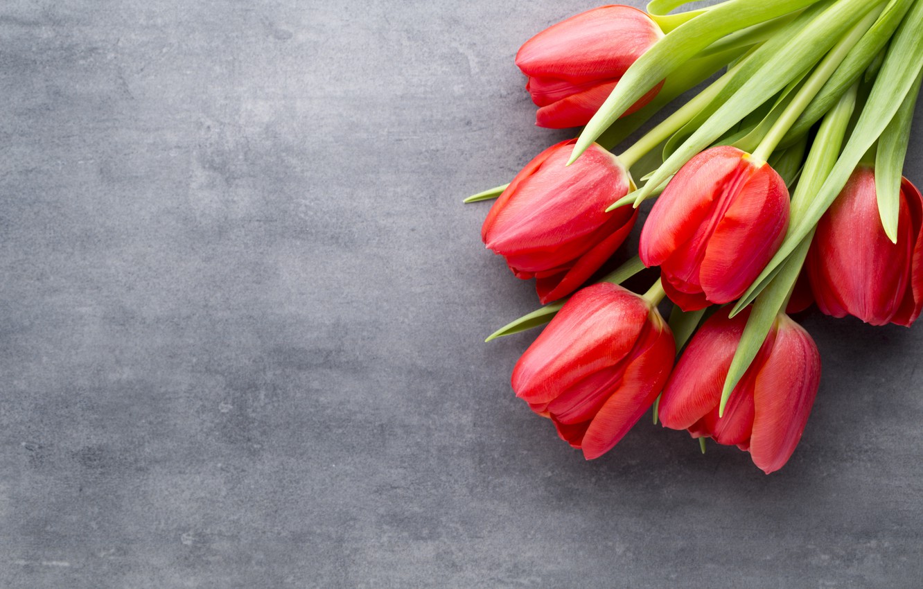 beautiful-fresh-tiulpany-tulips-buket-spring-flowers-tsvety.jpg