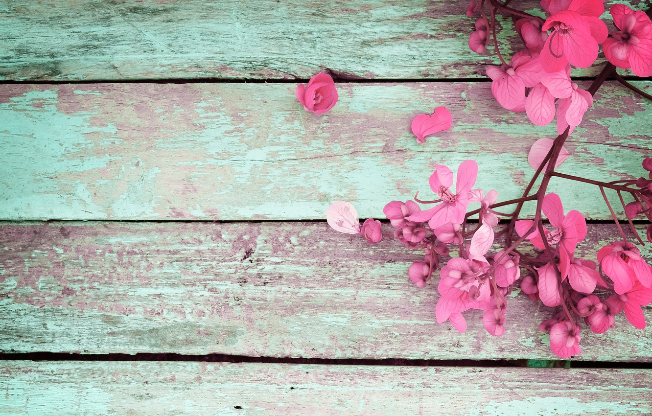 vesna-wood-tsvety-spring-flowers-vintage-pink-rozovye.jpg